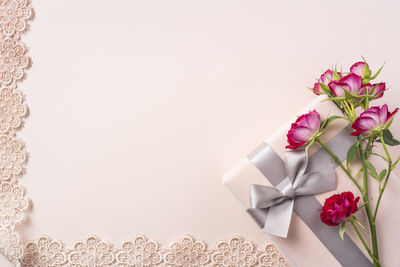 Close-up of pink rose against white background