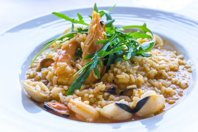 Close-up of risotto served in plate