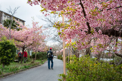 Full length of woman walking on road amidst flowering plants