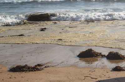 Scenic view of beach