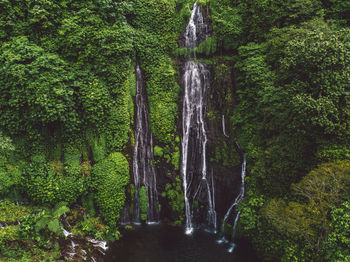 Scenic view of waterfall amidst trees in forest