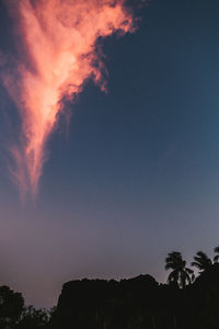 Low angle view of silhouette trees against sky at night