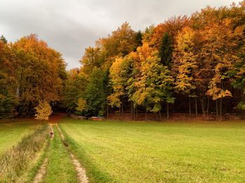 Scenic view of grassy field against sky