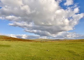 Scenic view of field against sky