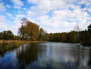 Scenic view of lake in forest against sky