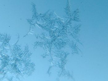 High angle view of snowflakes on glass window