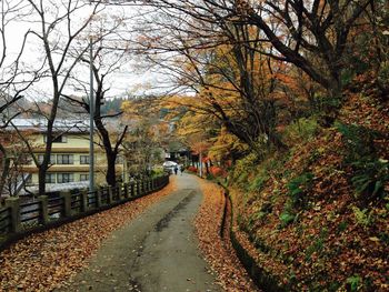 Footpath amidst trees and autumn leaves in park