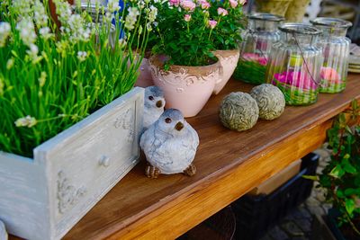 Potted plants on wooden table