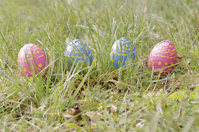 Multi colored eggs on field