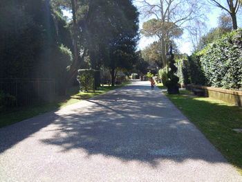 Road amidst trees in park