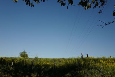 Scenic view of field against clear blue sky