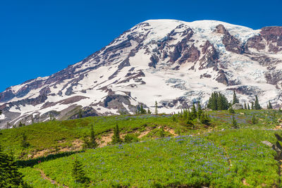 Low angle view of snowcapped mountains against clear blue sky