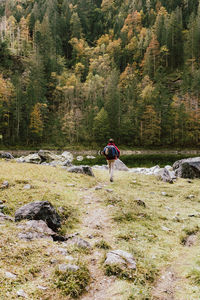 Rear view of man walking in forest