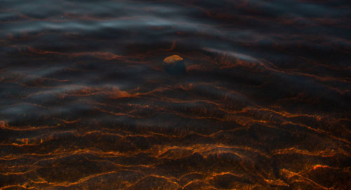 Full frame shot of sea water