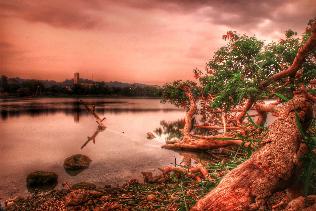 water, sky, cloud - sky, tree, sunset, tranquil scene, tranquility, cloudy, scenics, reflection, beauty in nature, nature, cloud, lake, beach, dusk, river, shore, idyllic, sea