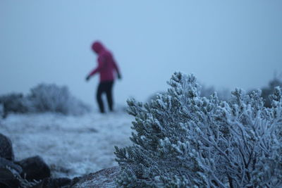 winter