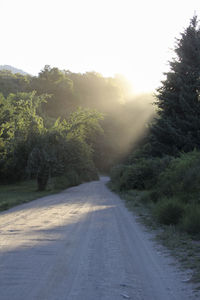 Road amidst trees against clear sky