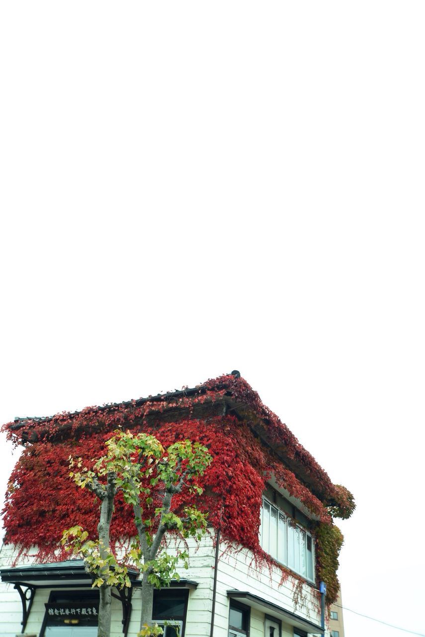 architecture, clear sky, building exterior, built structure, copy space, low angle view, house, residential structure, high section, residential building, window, day, outdoors, no people, roof, red, building, growth, nature, sky