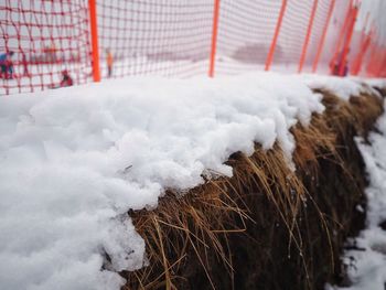 Close-up of snow