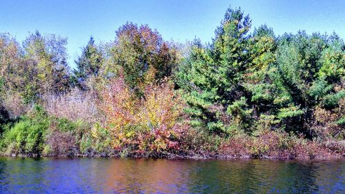 Scenic view of lake and trees against clear sky