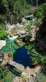 High angle view of river amidst trees in forest