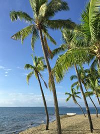 Palm tree by sea against sky