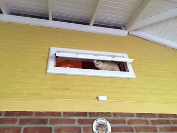 View of building through window