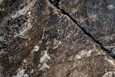 Rock texture or background in nature