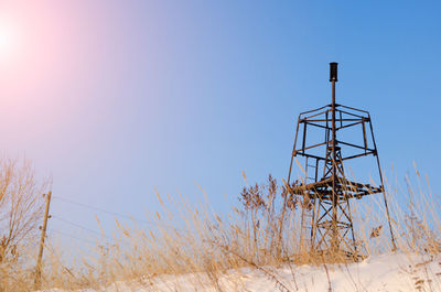 Plants growing on field against clear sky during winter