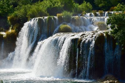 Scenic view of waterfall in forest