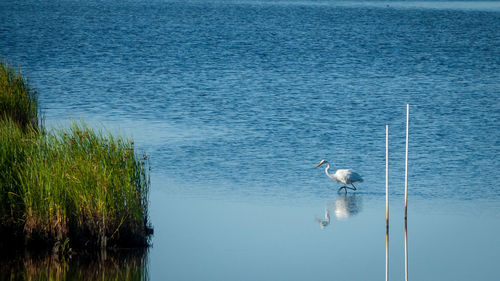 Scenic view of lake