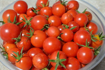 High angle view of cherry tomatoes