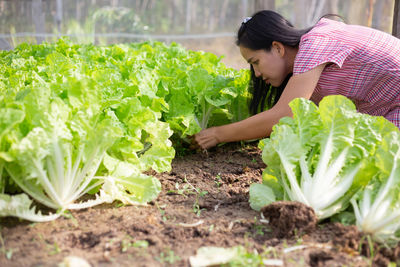 Woman holding food on plant