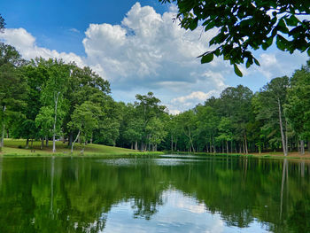 Scenic view of lake by trees against sky