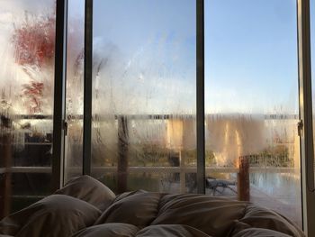 Reflection of trees on glass window