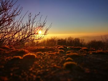 Scenic view of field against sky during sunset