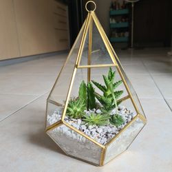 High angle view of potted plant on table