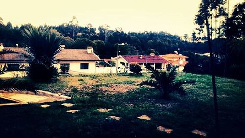 Houses on landscape