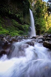 Scenic view of waterfall in forest