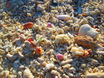 Full frame shot of pebbles in sea