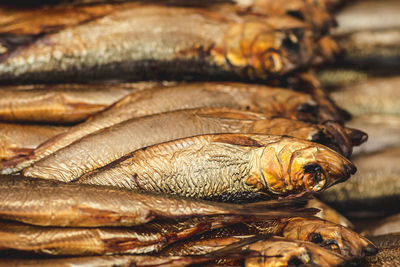 Dry smoked salted herrings in a row in a street food market, close up