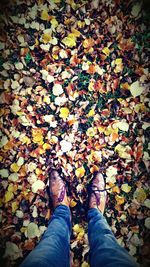 Low section of man standing on fallen leaves