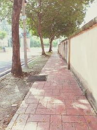 Footpath amidst trees in park