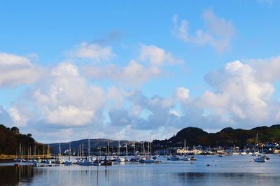 Boats in harbor