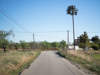 Road amidst trees on field against clear sky