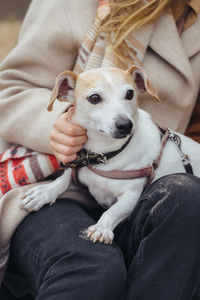 The owner holds the dog in his arms. jack russell terrier on a walk outdoor. friendship pet and man