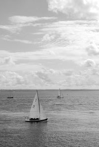 Sailboat sailing on sea against sky