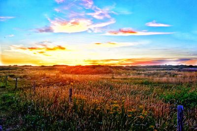 Scenic view of field against sky during sunset