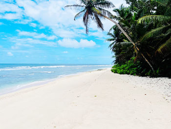 Scenic view of grand barbe beach against sky