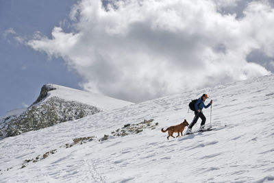 Woman skins up mount sopris with her dog on a sunny day in colorado.